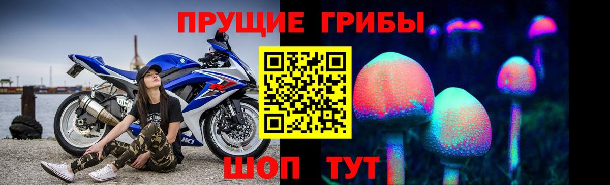 Псилоцибиновые грибы мицелий Чистополь